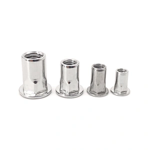Catalog for Rivet Nuts.pdf